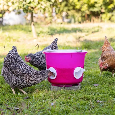 Foderspand med 4 Spisehuller Design Kalle